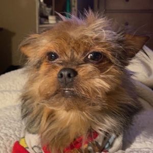 Meet your Posher, Luke